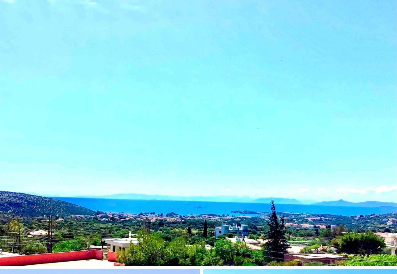 Athens Riviera Grand Panoramic Villa Lagonissi Lagonisi Zewnętrze zdjęcie